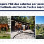 Fotografía boletín de prensa no. 360 (002)