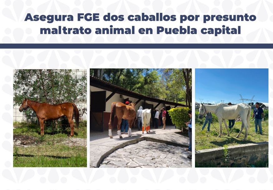 Fotografía boletín de prensa no. 360 (002)